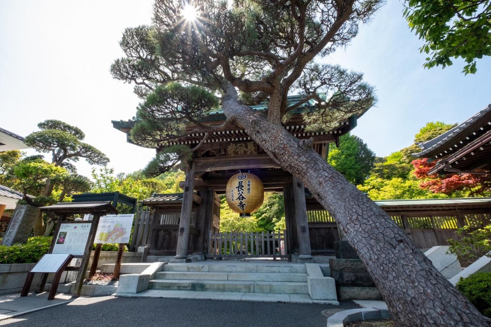 Japanese Modern Inn 鎌倉楽庵ハナレ Kamakura Exteriör bild
